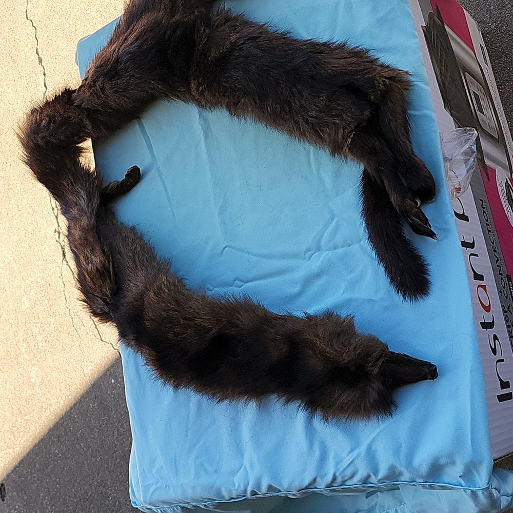 Mink Scarf